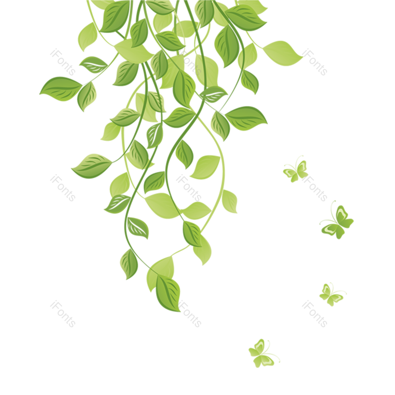 叶子图片,绿叶元素,树叶PNG,花草装饰免抠素材